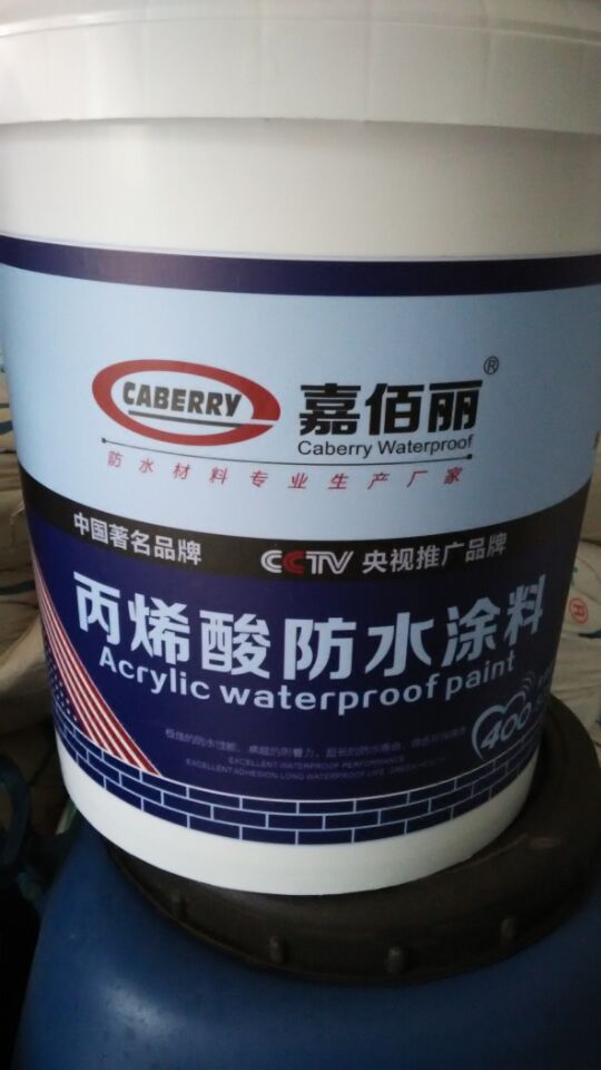 厂家直销丙烯酸批发零售 效果图、产品图、型号图、工程图一站获取 — 中国涂料行业新标杆